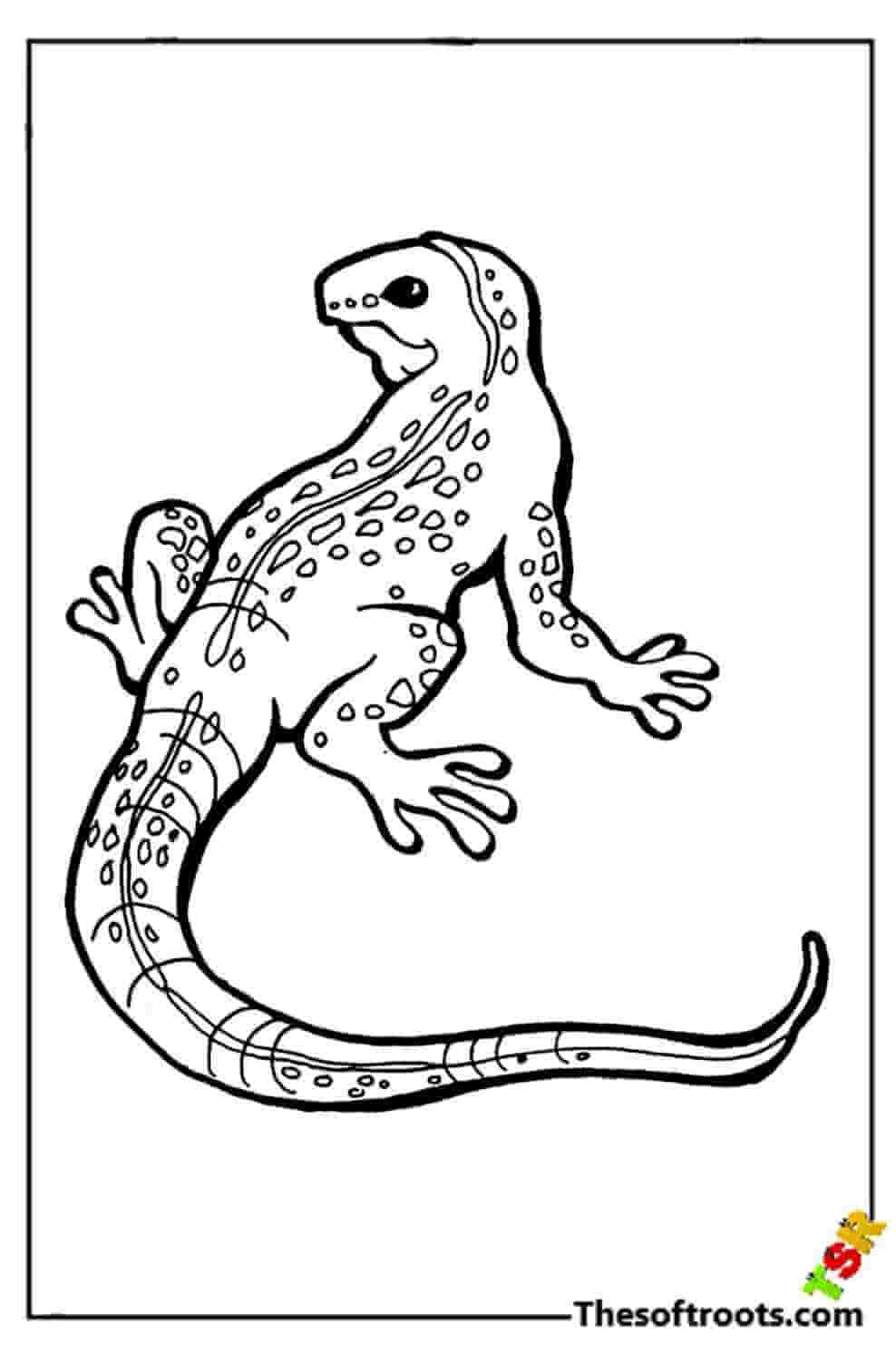 Lizard coloring pages kids coloring pages