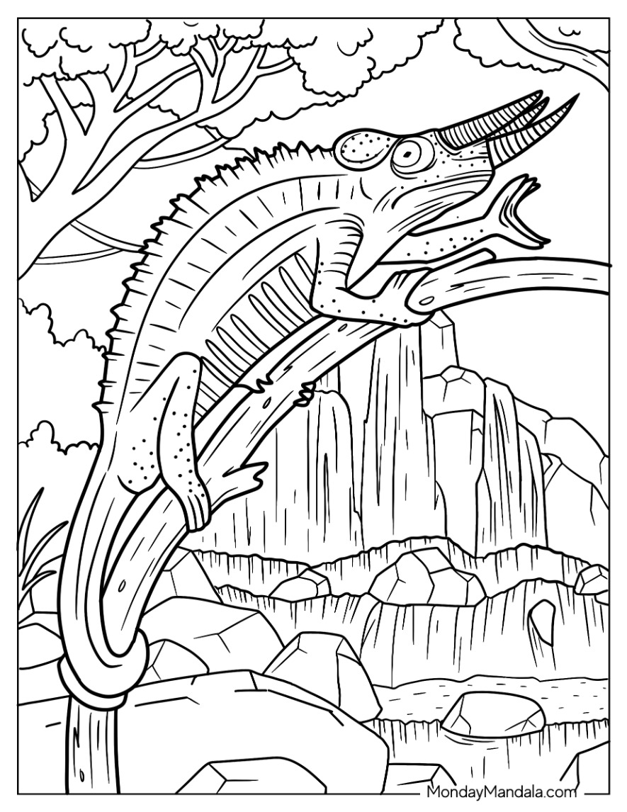 Lizard coloring pages free pdf printables