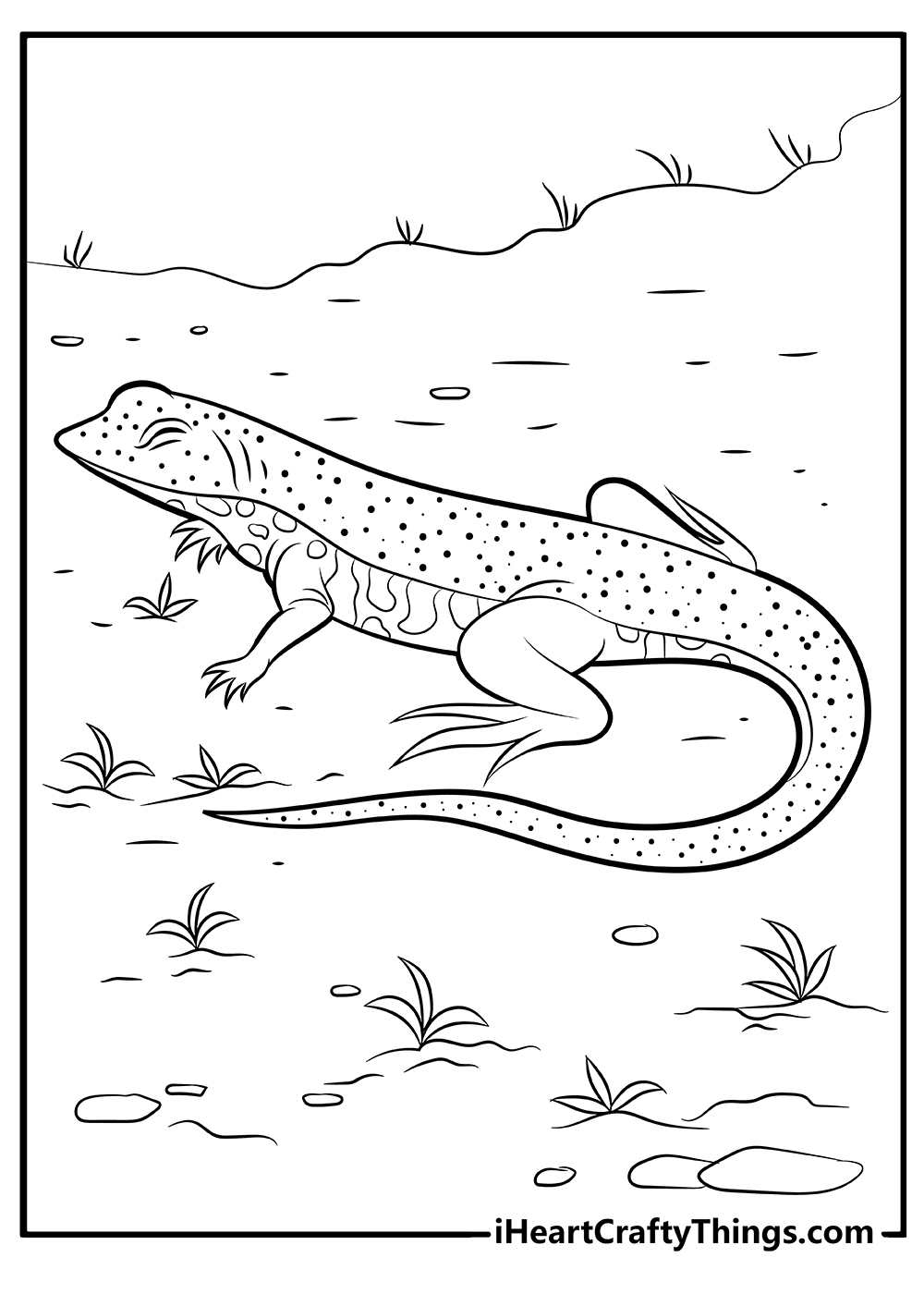 Lizard coloring pages free printables