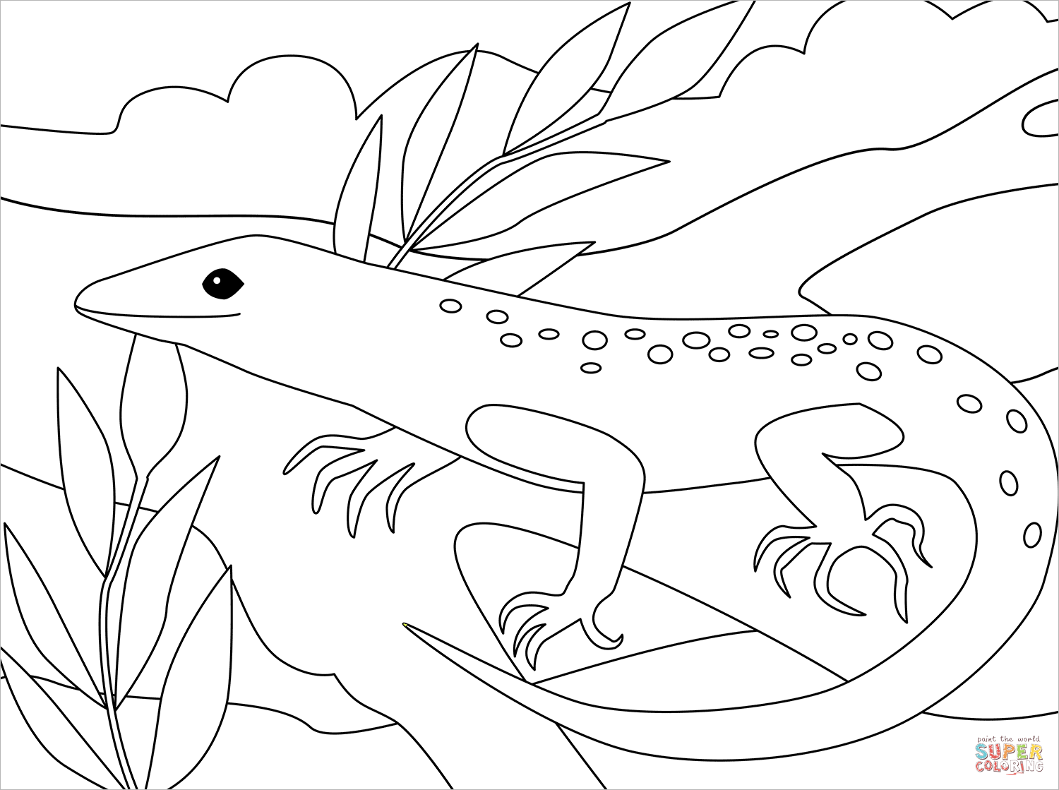 Lizard coloring page free printable coloring pages