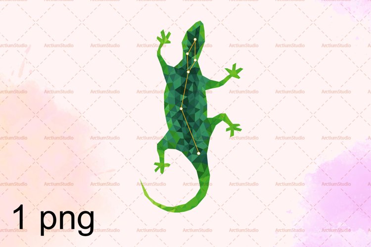 Lizard drawing design bundles page