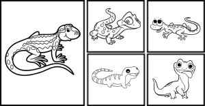 Lizard coloring pages kids coloring pages