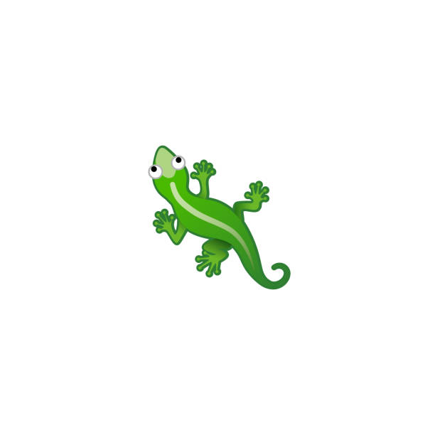 Anole lizard stock illustrations royalty