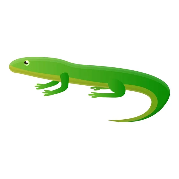 Lizard graphic vector images