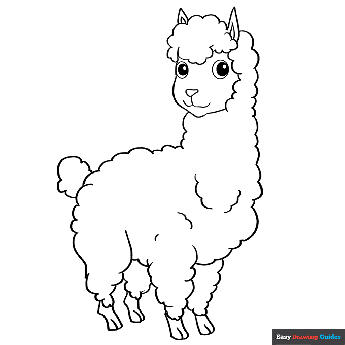 Llama coloring page easy drawing guides