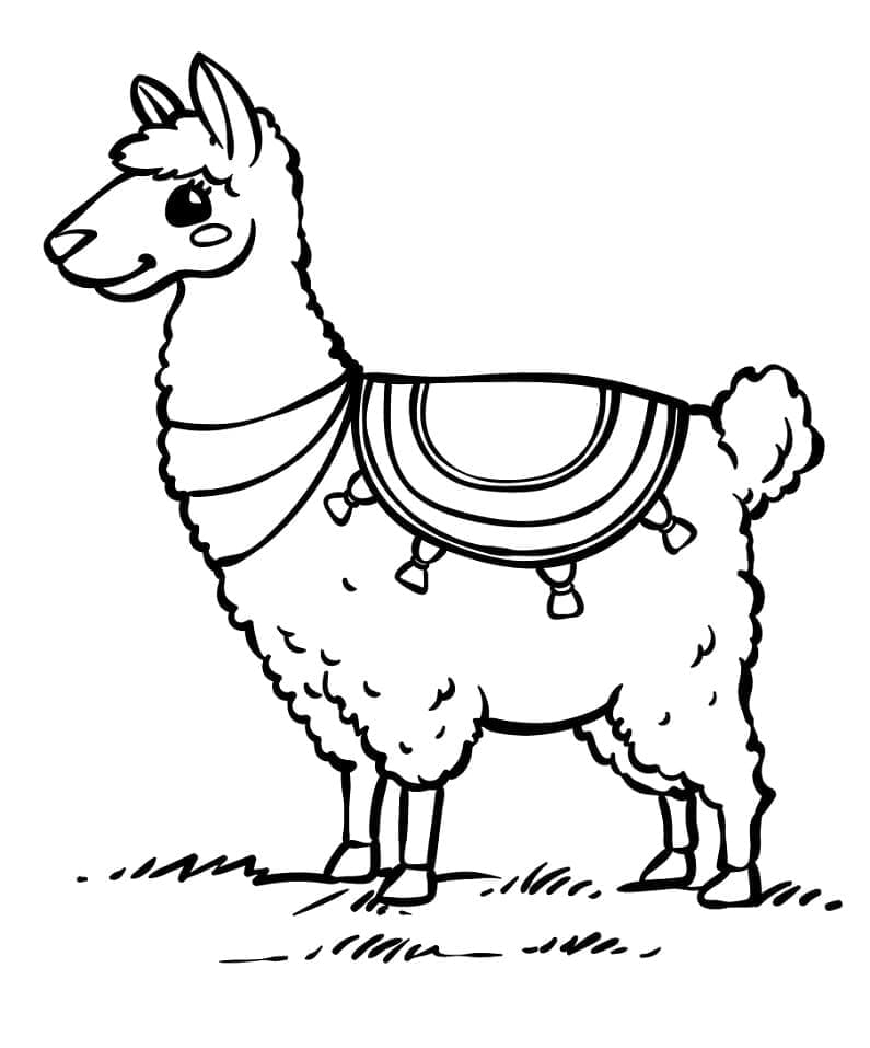 Pretty llama coloring page