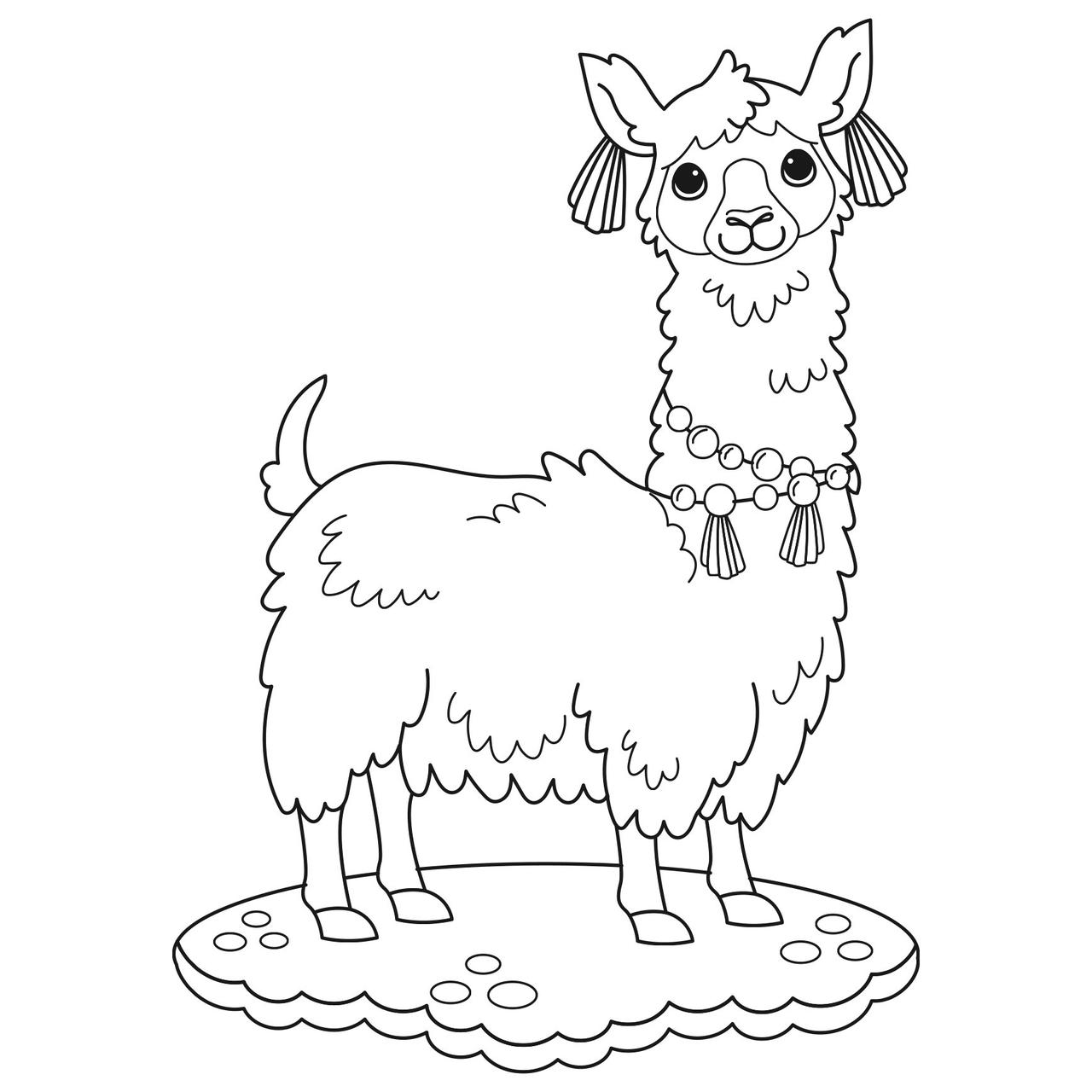 Llama