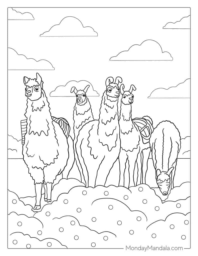 Llama coloring pages free pdf printables