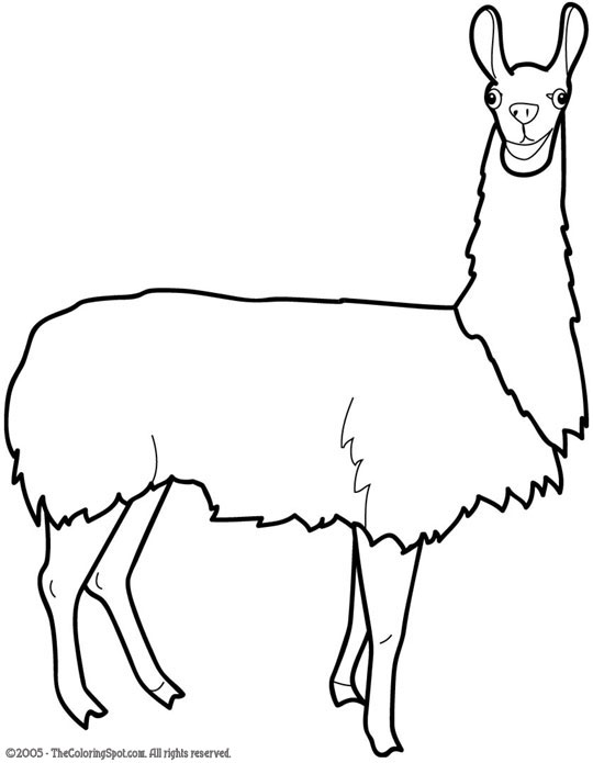 Llama coloring page audio stories for kids free coloring pages colouring printables