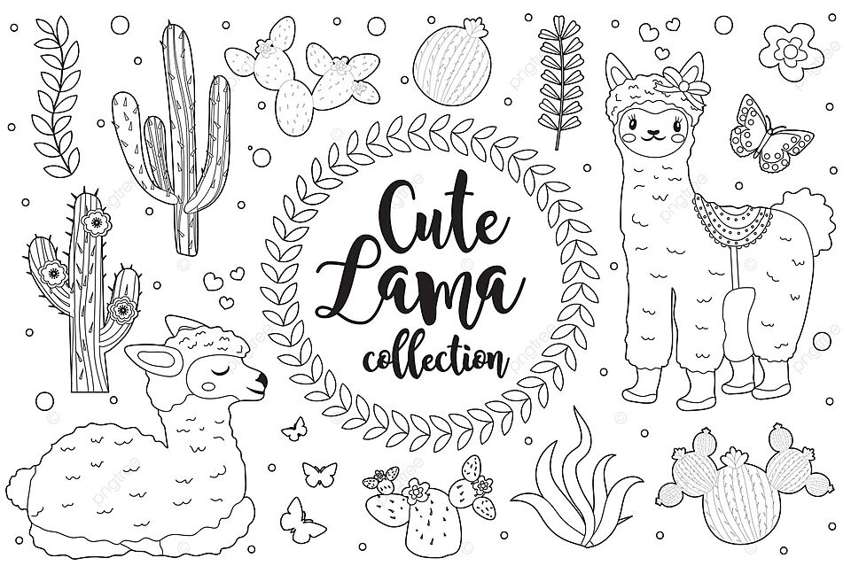 Llama coloring page for kids with cute design elements and clip art photo background and picture for free download