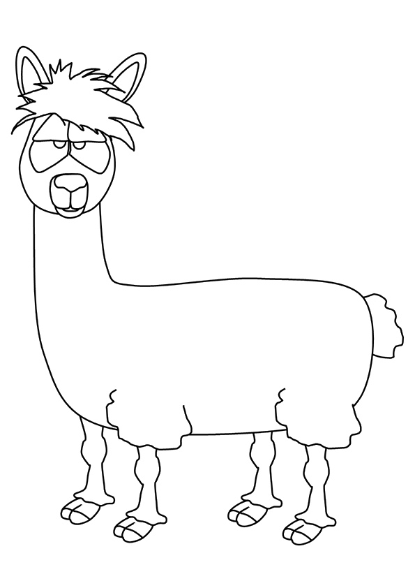 Llama coloring pages