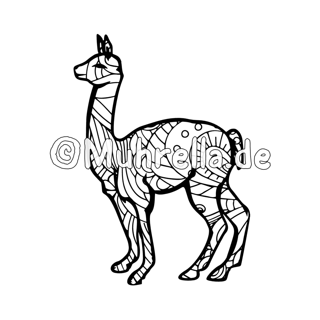 Cute llamas coloring book