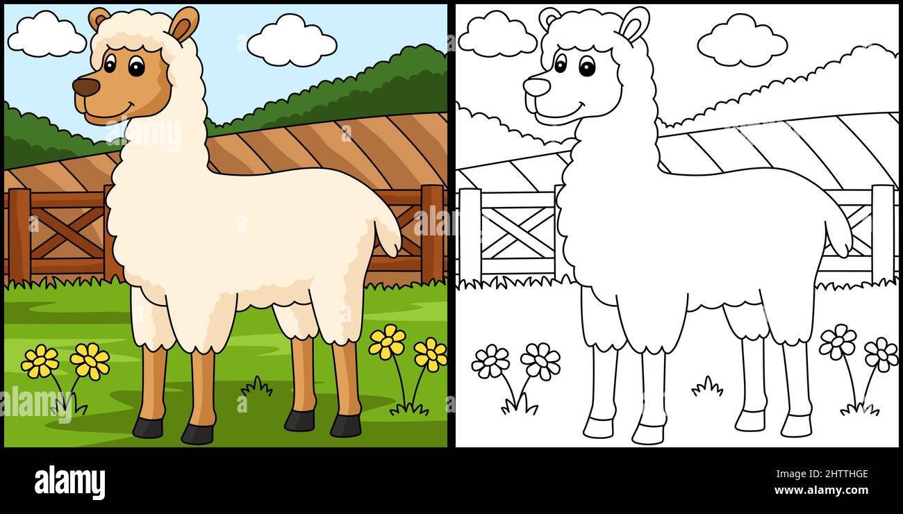 Llama coloring page colored illustration stock vector image art