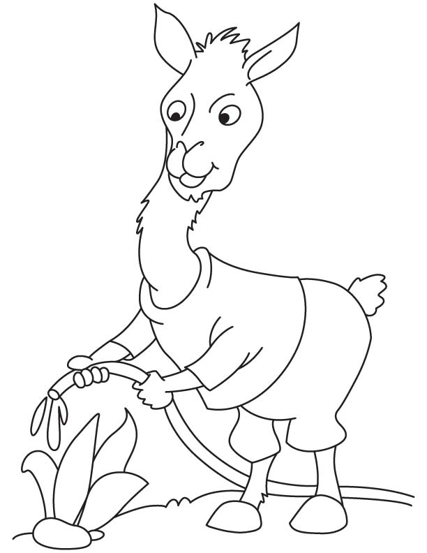 Llama the gardener coloring page download free llama the gardener coloring page for kids best coloring pages