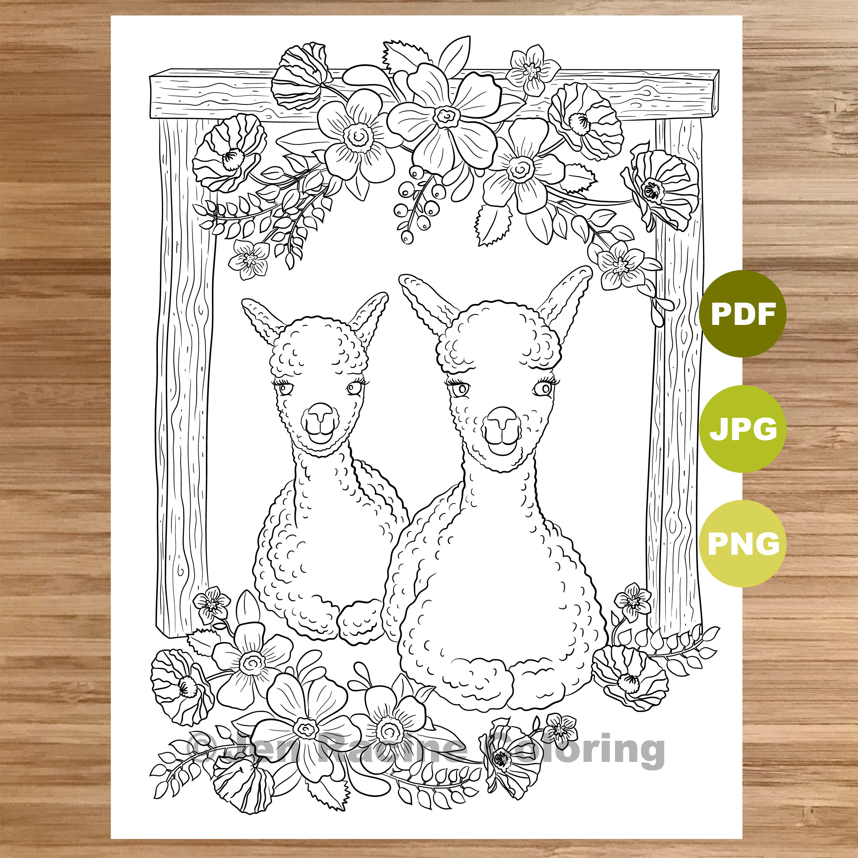 Sweet sitting llamas coloring page llama art coloring book printable coloring pages for adults coloring pages for kids