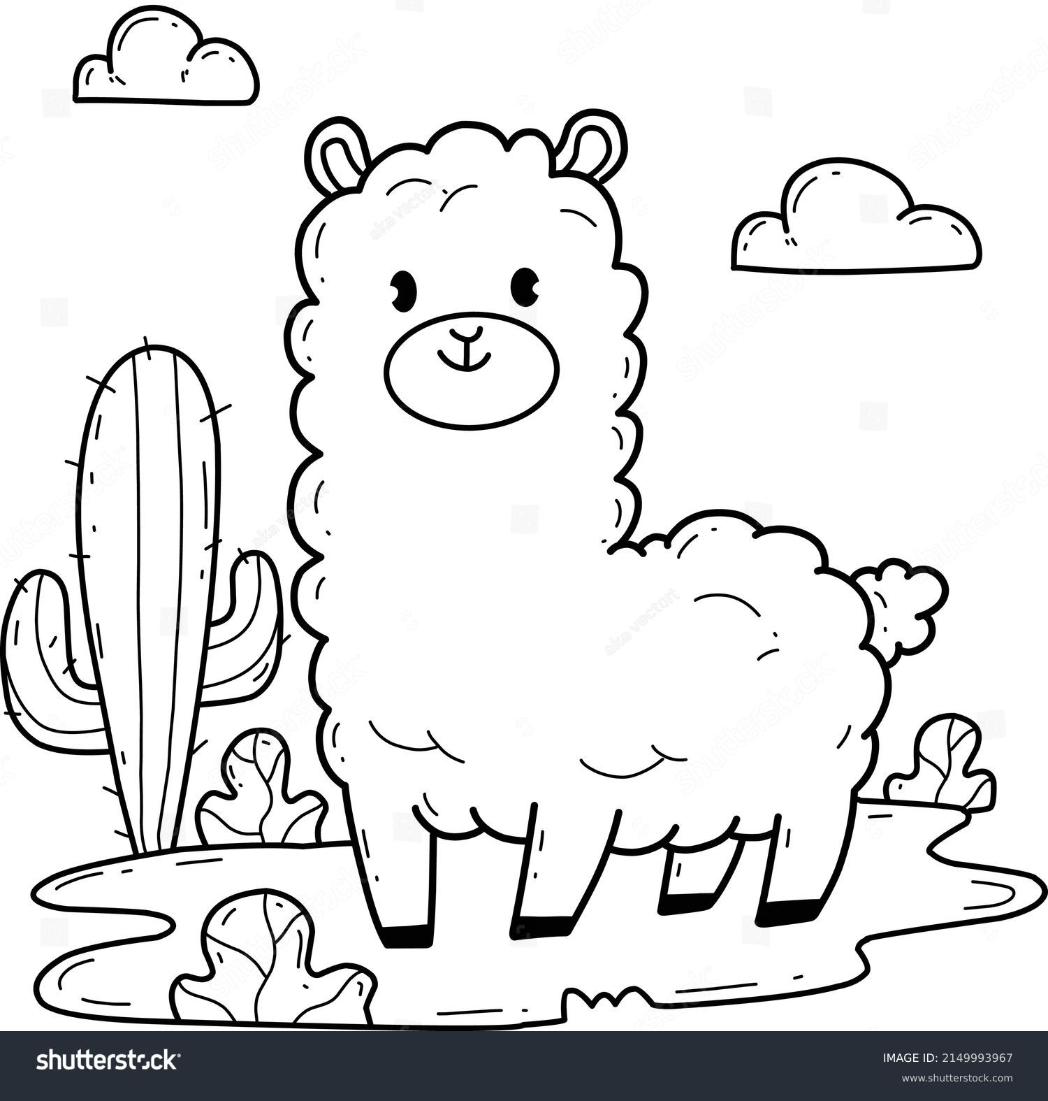 Llama colouring images stock photos d objects vectors