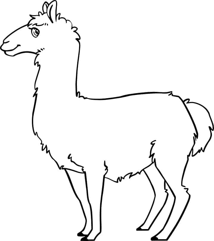 Llama free printable coloring page