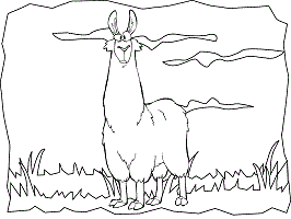 Llamas coloring pages and printable activities