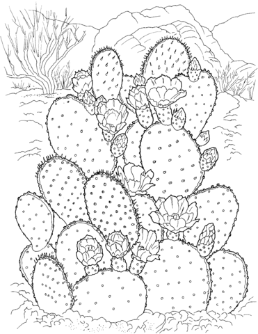 Prickly pear cactus coloring page free printable coloring pages