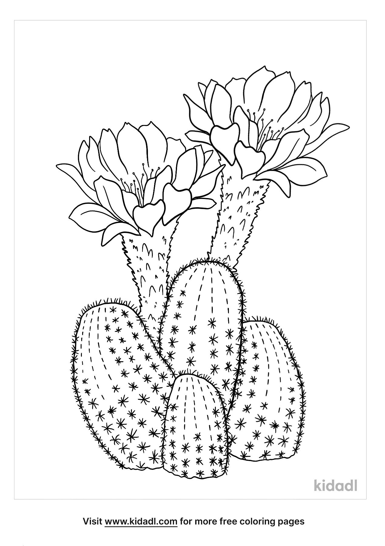 Free lobivia famatimensis coloring page coloring page printables