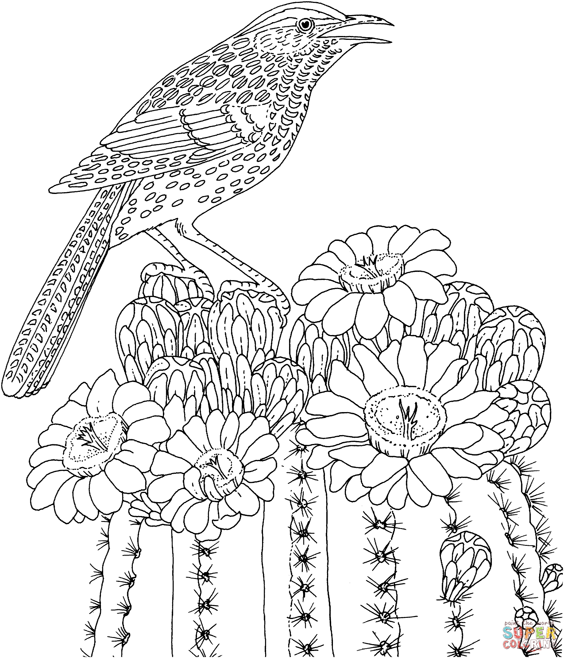 Cactus wren and saguaro blossom arizona state bird and flower coloring page free printable coloring pages