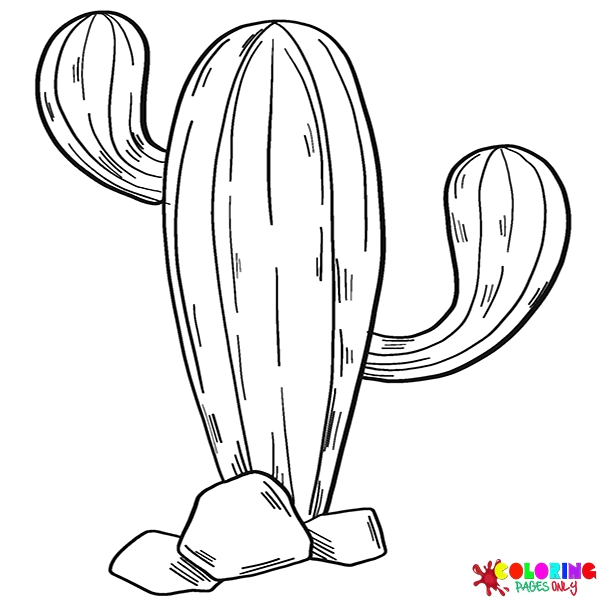 Cactus coloring pages