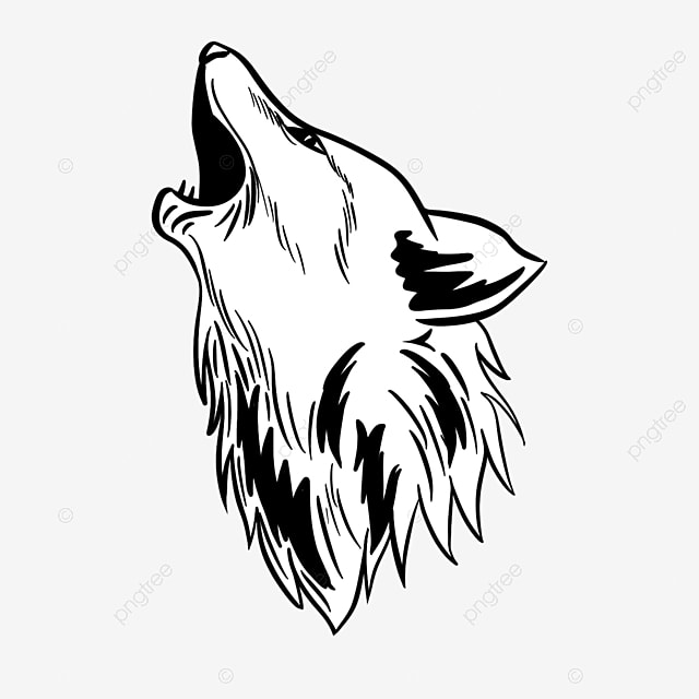 Hand drawn cartoon black ear line wolf illustration car drawing wolf drawing cartoon drawing png transparent clipart image and psd file for free download