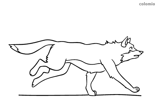 Wolves coloring pages free printable wolf coloring sheets