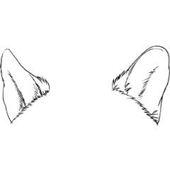 Wolf ears