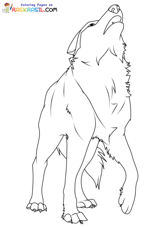 Wolf coloring pages