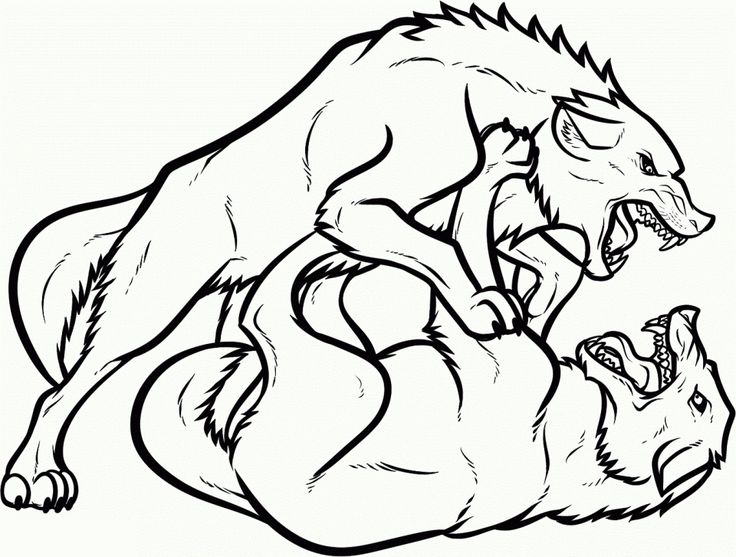 Get this wolf coloring pages free printable lobo para colorir pãginas para colorir lobo desenho