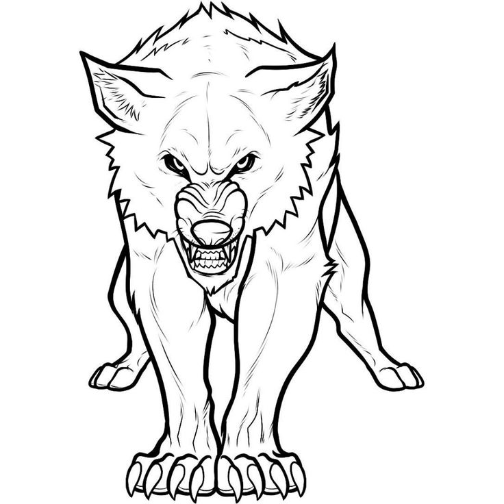 Free printable wolf coloring pages for kids dibujo de cabeza de lobo pãginas para colorear de animales tatuajes geomãtricos de animales