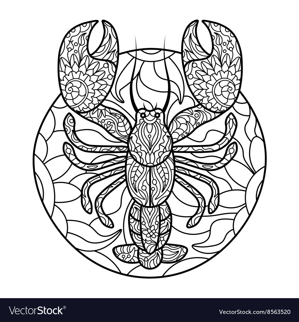 Lobster coloring book for adults royalty free vector image
