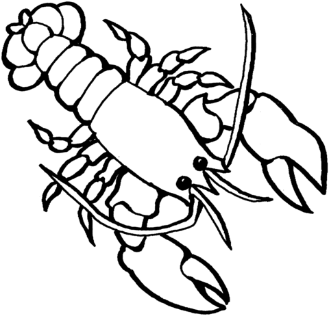 Lobster coloring page free printable coloring pages