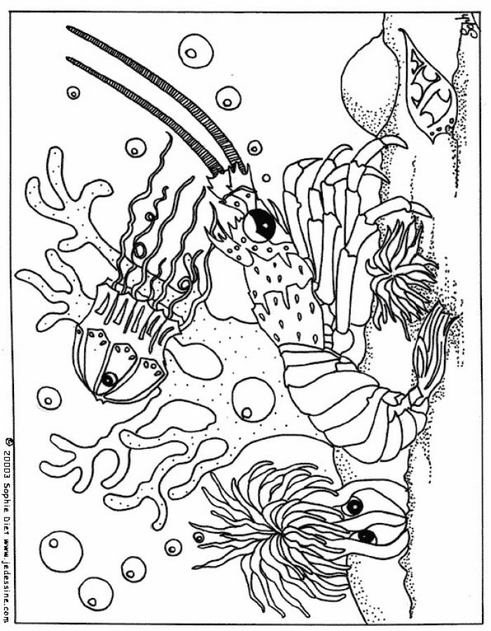 Lobster coloring pages