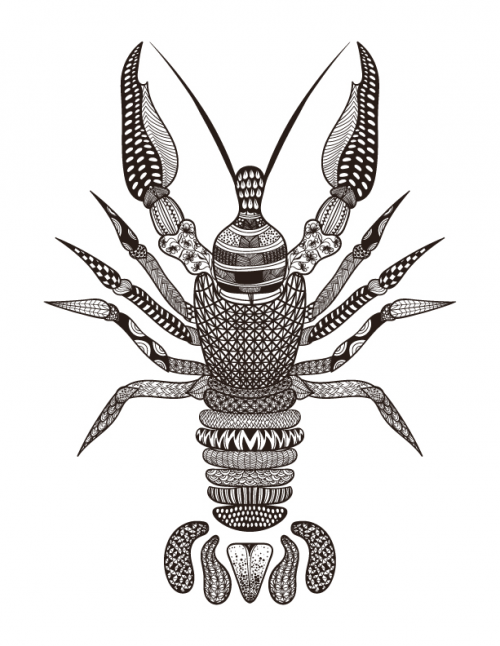 Lobster coloring page