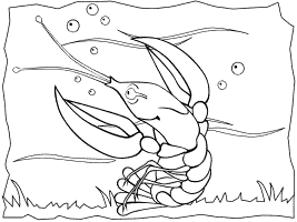 Lobster coloring pages and printable activities