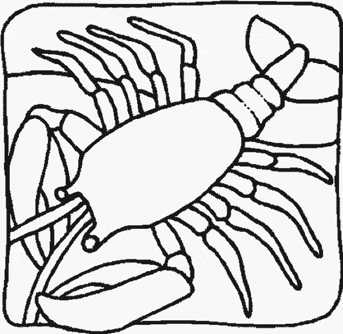 Lobster coloring page