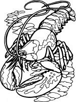 Lobster coloring pages and printable activities