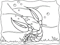 Lobster coloring pages and printable activities