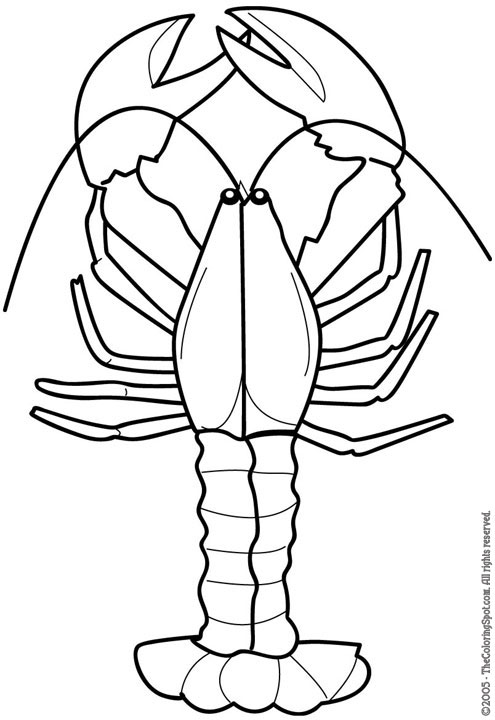 Lobster coloring page audio stories for kids free coloring pages colouring printables