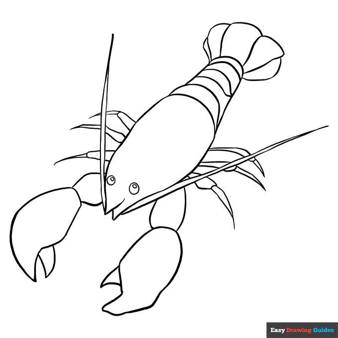 Lobster coloring page easy drawing guides