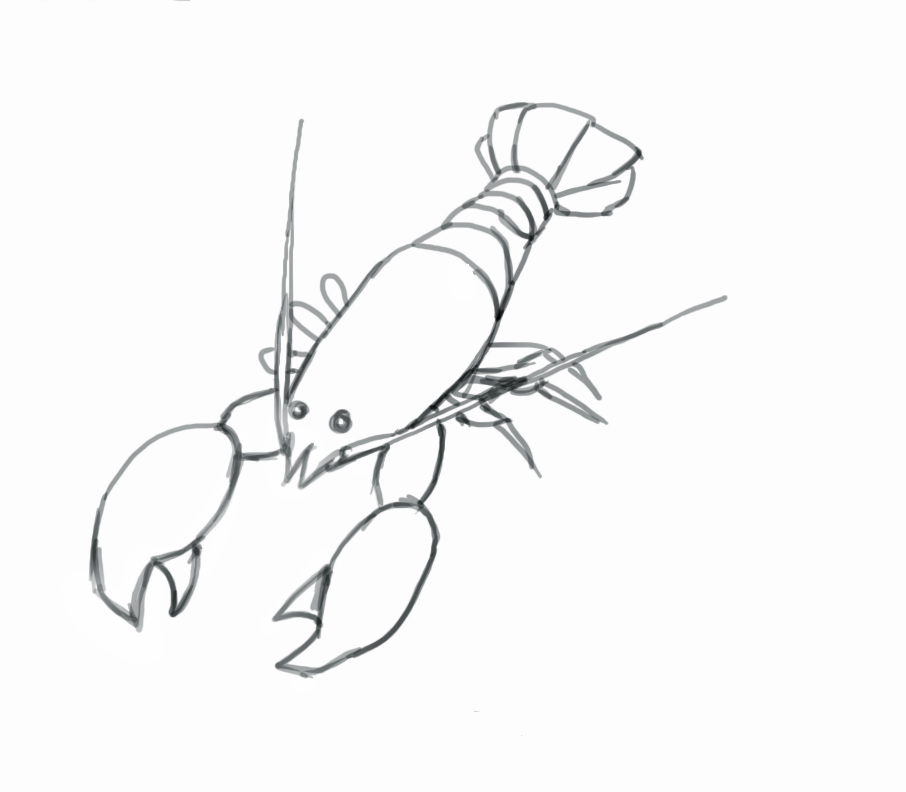 How to draw a lobster