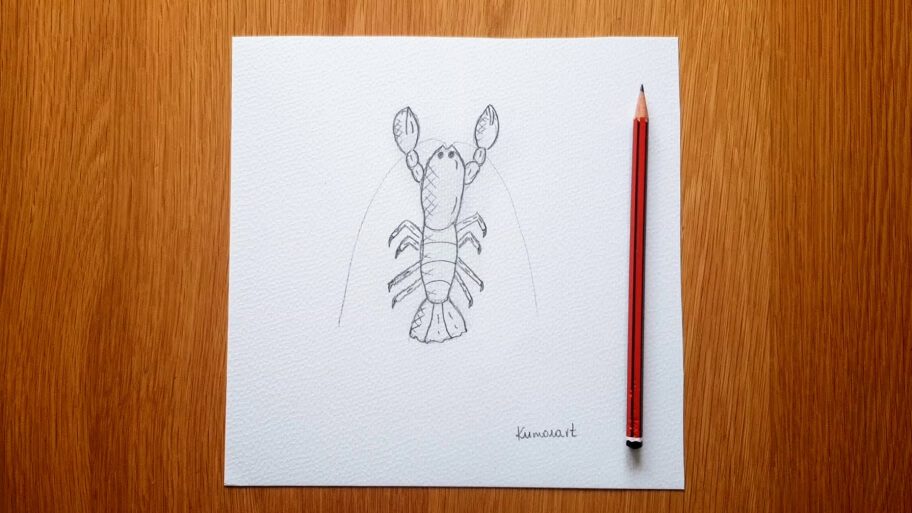 How to draw a lobster step by step