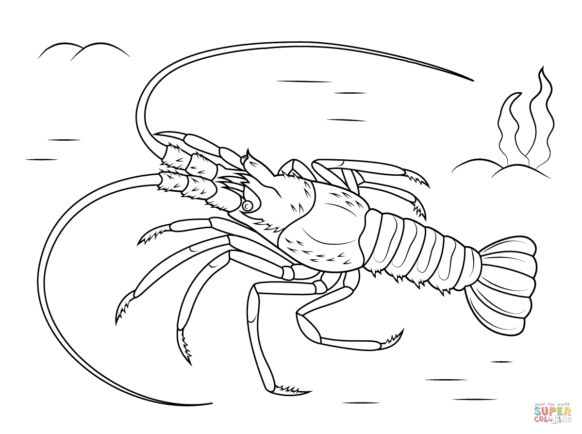 Mediterranean lobster coloring page free printable coloring pages