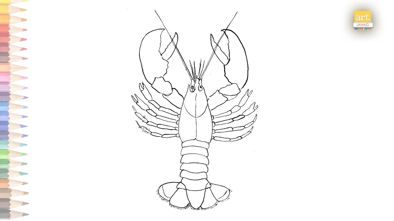 Lobster drawing easy how to draw a lobster step by step