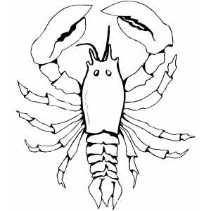 Lobster coloring sheet