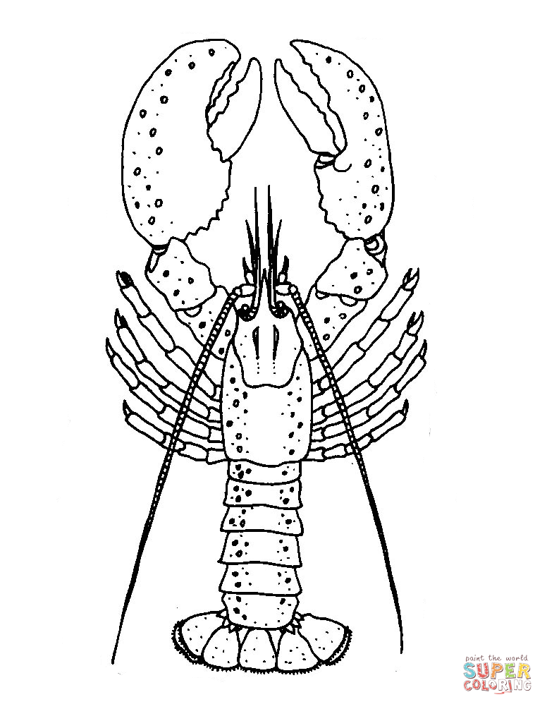 Lobster coloring page free printable coloring pages