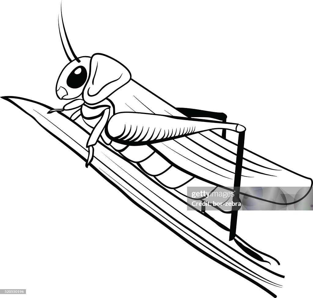 Stylized cartoon locust high