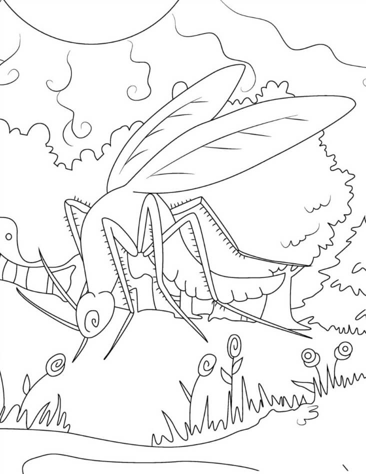 Sweet mosquito coloring page